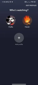 Screenshot_2023-11-18-11-56-06-858_com.disney.disneyplus.webp