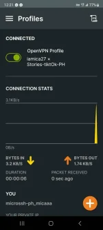 Screenshot_20231119_002153_OpenVPN Connect.webp