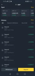 Screenshot_20231120_113156_com.binance.dev.webp Screenshot_20231120_113156_com.binance.dev.webp