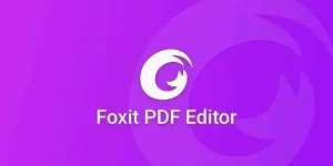 1700524865852.webp