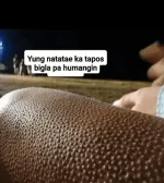 Screenshot_20231120_184017.webp