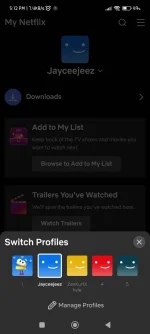 Screenshot_2023-11-22-17-12-49-484_com.netflix.mediaclient.webp