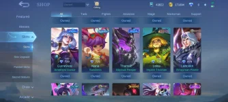 Screenshot_20231122_185720_com.mobilelegends.hwag.webp