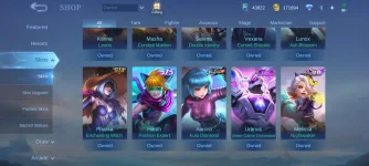 Screenshot_20231122_185807_com.mobilelegends.hwag.webp