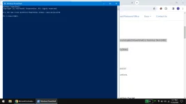 1700817492923.webp 1700817492923.webp