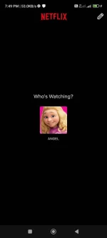 Screenshot_2023-11-28-19-49-10-783_com.netflix.mediaclient.jpg