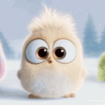 angry-birds.gif