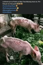 1701830521040.webp