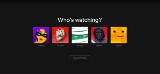 netflix 1.webp