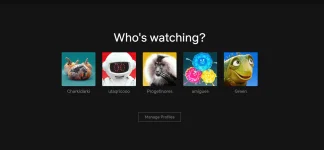 netflix 2.webp