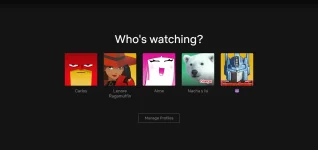 netflix 2.webp