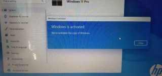 17022574997225492921090517553377.webp