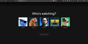 1702268835616.webp