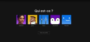 netflix 2.webp
