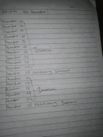 1702336459739.webp