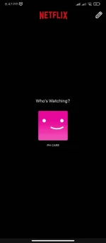 Screenshot_2023-12-12-20-47-49-195_com.netflix.mediaclient.jpg
