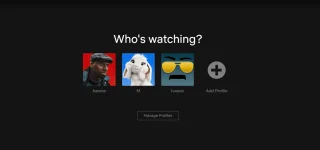 netflix 4.webp