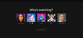 netflix 1.webp