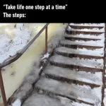 1702643427558.webp