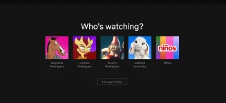 netflix 1.webp
