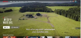 netflix 4.webp
