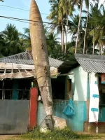 1702901536530.webp