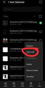 Screenshot_20231219-212237.webp