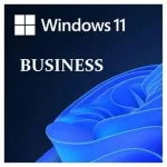 window 11 BUSINESS.jpg
