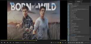 ss2.webp