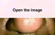 1703212433397.webp