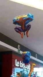 1703295727172.webp
