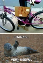 FB_IMG_1703298617942.webp