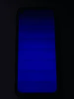 1703303959605.webp