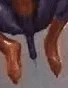 1703308257243.webp