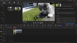 vid2.webp