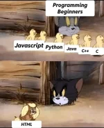 1703485018193.webp