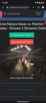 Screenshot_20231226-160814_Chrome.webp Screenshot_20231226-160814_Chrome.webp