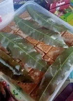 1703605582438.webp