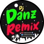 DANZ REMIX LOGO for sticker.webp