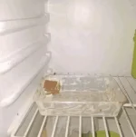 1703993590702.webp