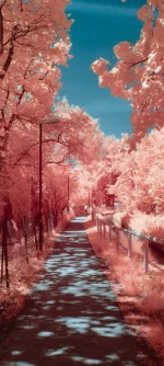 23ed8cbd-d4a3-43d2-8005-25b8f6401bfc.webp