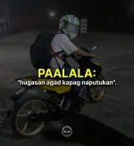 FB_IMG_1704193602231.webp