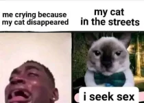 1704298822723.webp