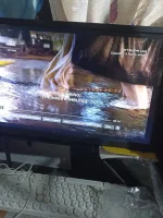 17047776697505196797306583598099.webp