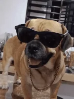 1705040719558.png