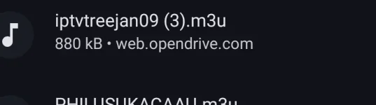 Screenshot_20240112-151047.webp