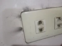 sdffdsfd.webp