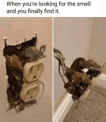 1705469933717.webp