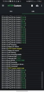 Screenshot_20240119-231035_HTTP Custom.webp