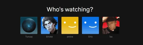 1705747228159.png